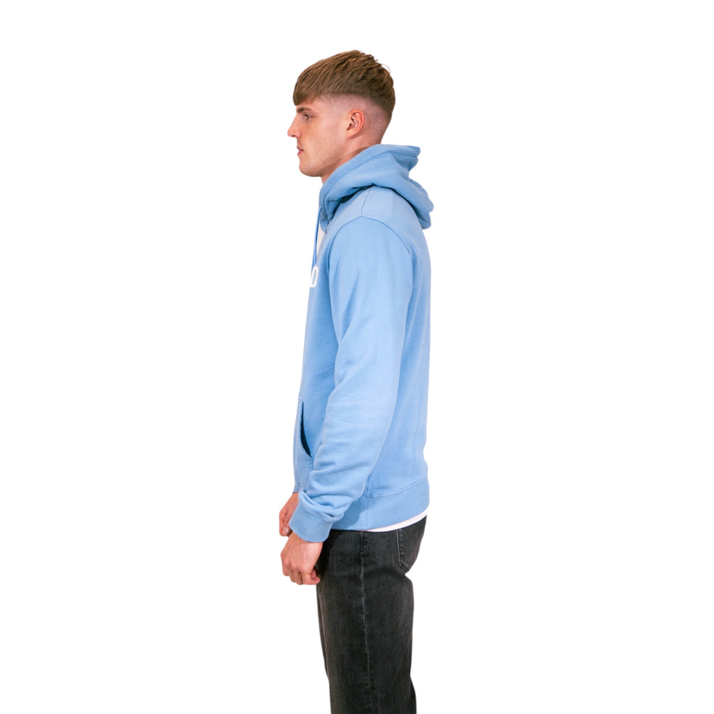 Dior CD Icon Hooded Sweatshirt (Blue)