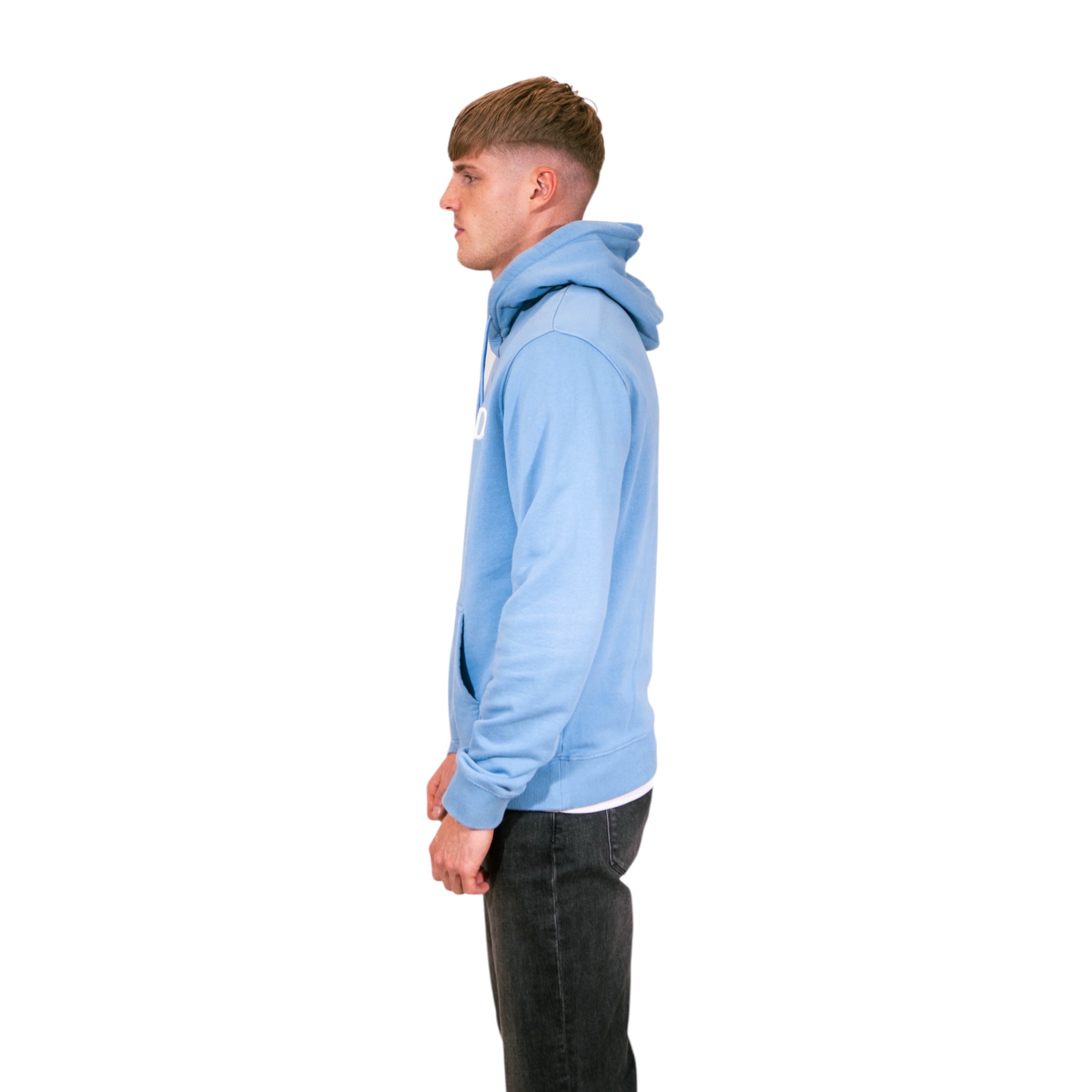 Dior CD Icon Hooded Sweatshirt (Blue)
