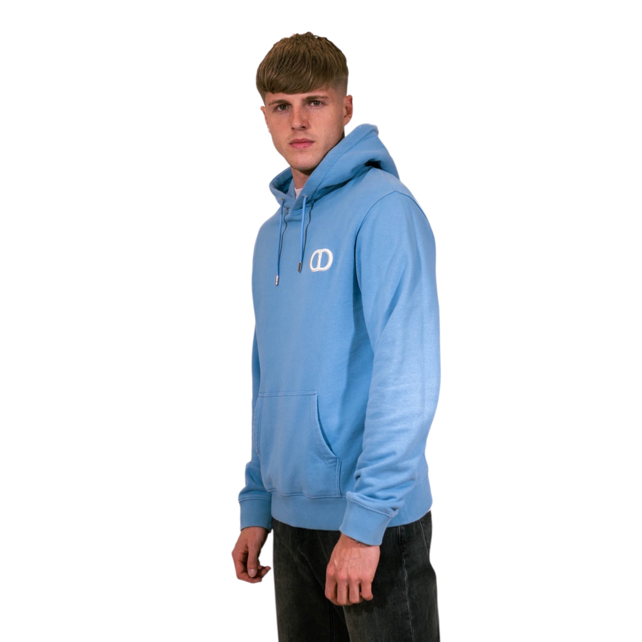 Dior CD Icon Hooded Sweatshirt (Blue)