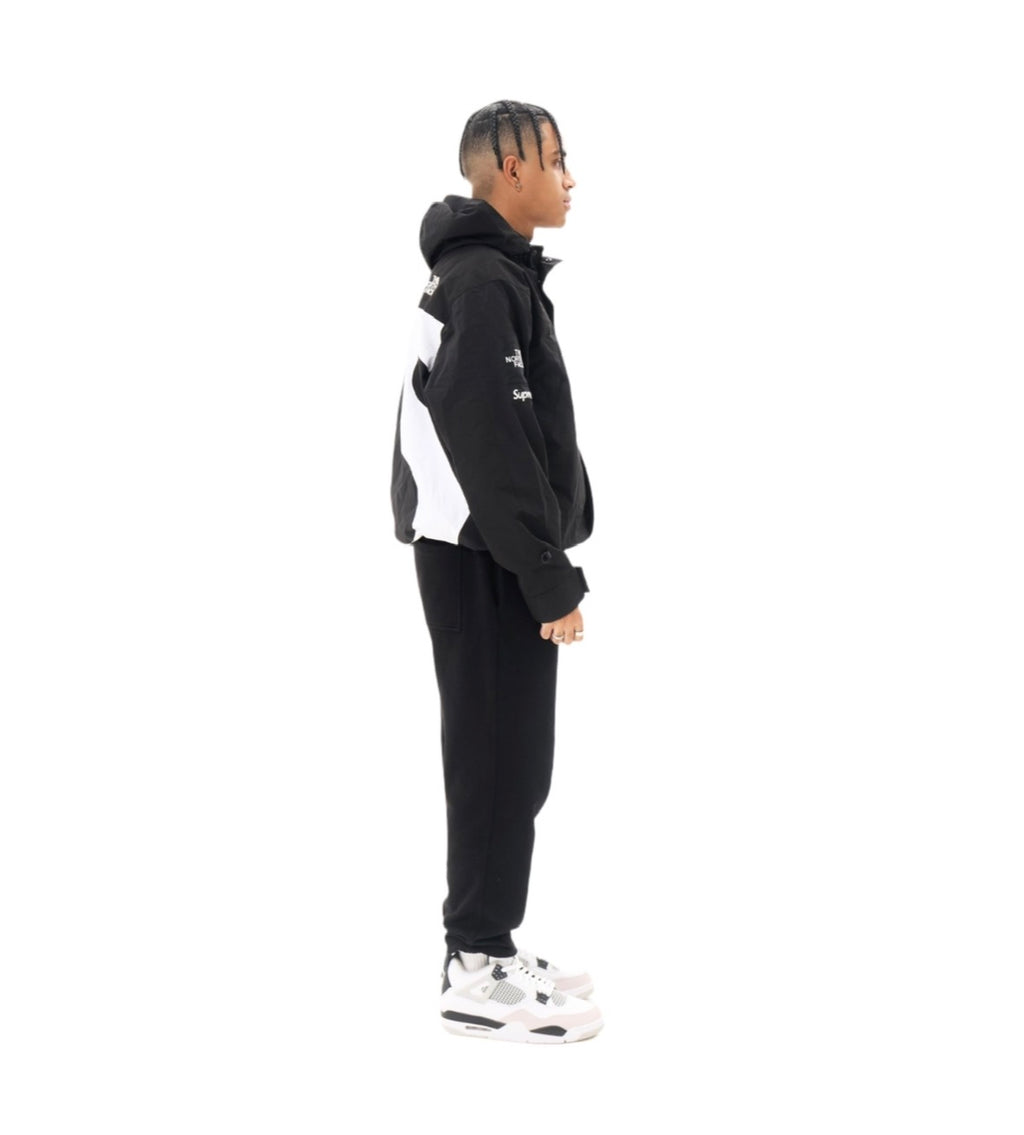 Supreme The North Face S Logo Mountain Jacket